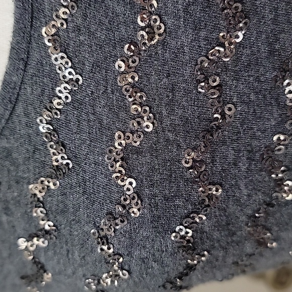 Loft Size S Dark Gray Tank Top with Sequin Stripes, Excellent Used Condition - Picture 3 of 12